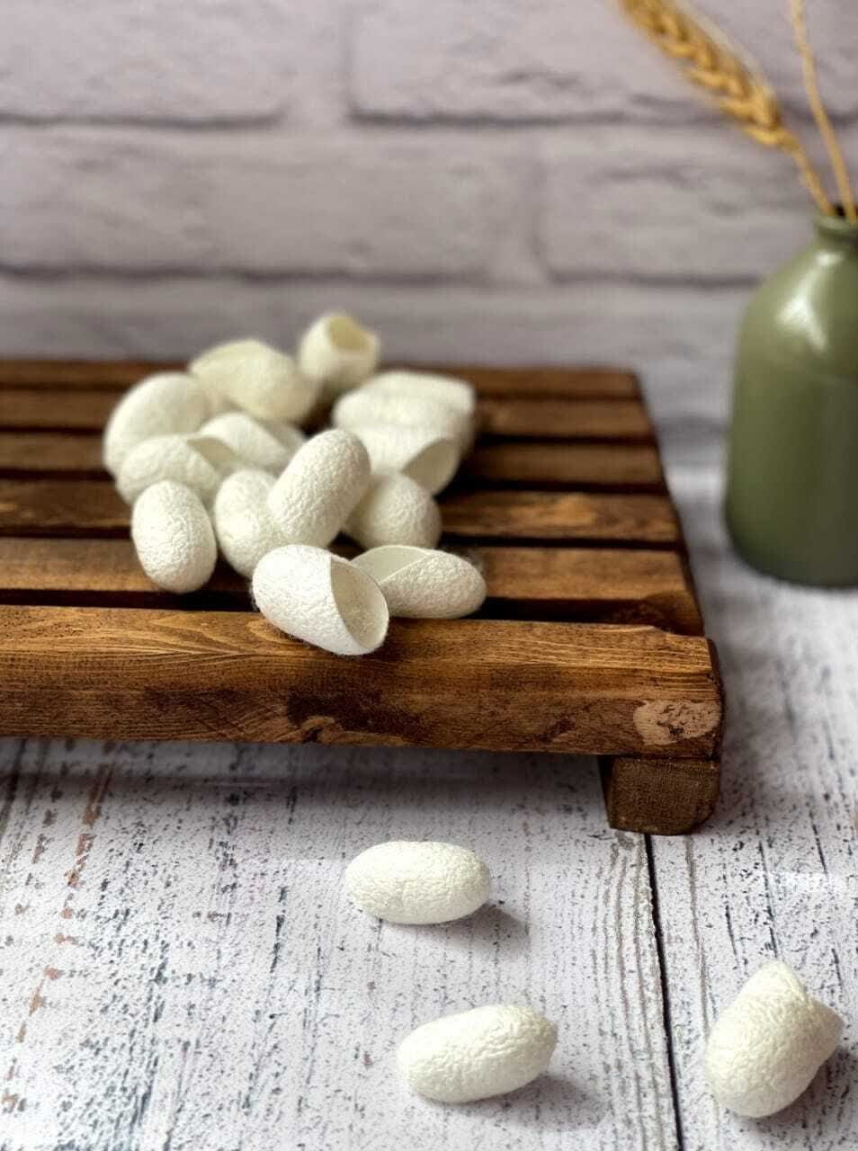 پیله ابریشم